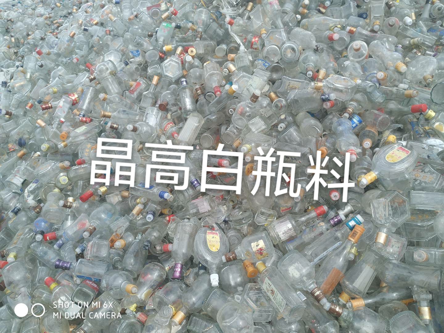 常熟晶高白瓶料回收